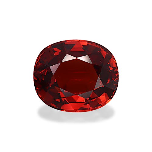 Product image-1 Product image-1