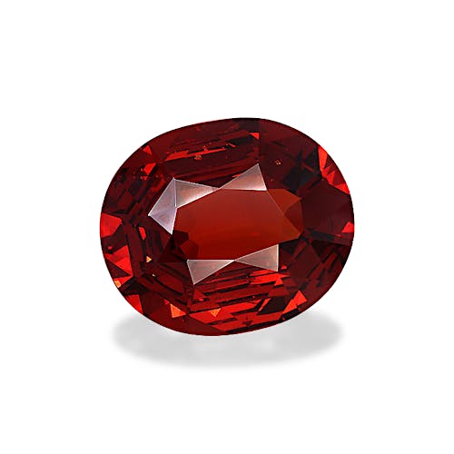 Product image-1 Product image-1