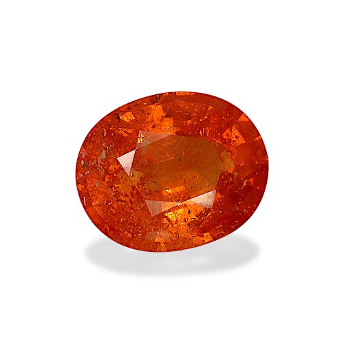 Product image-1 Product image-1