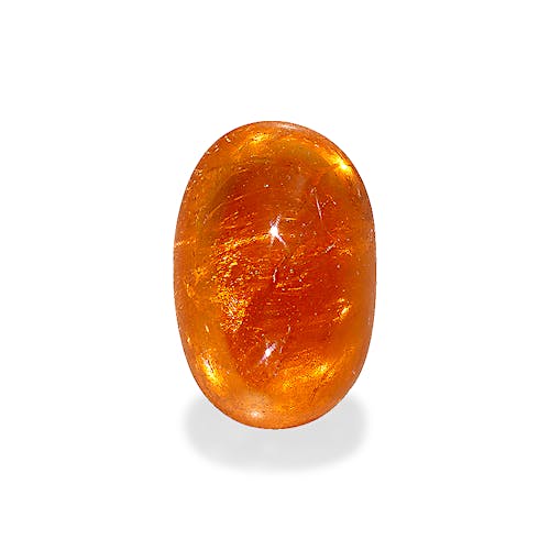 Product image-1 Product image-1