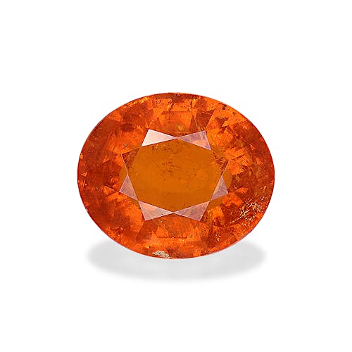 Product image-1 Product image-1