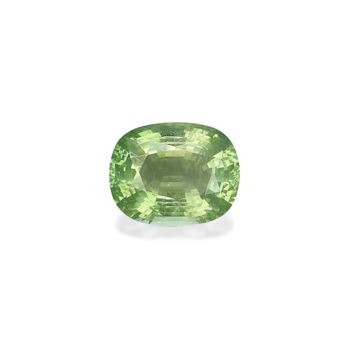 TG0102 : 15.14ct Green Tourmaline