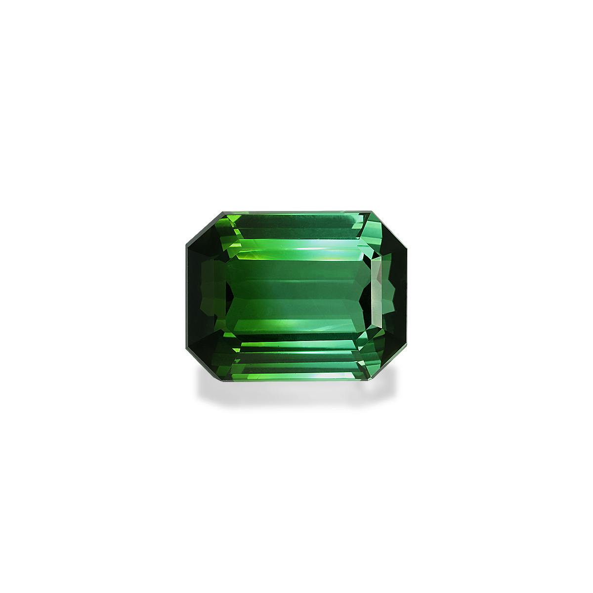 Green Tourmaline 6.66ct (TG0127)