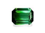 Picture of Green Tourmaline 122.28ct (TG0252)