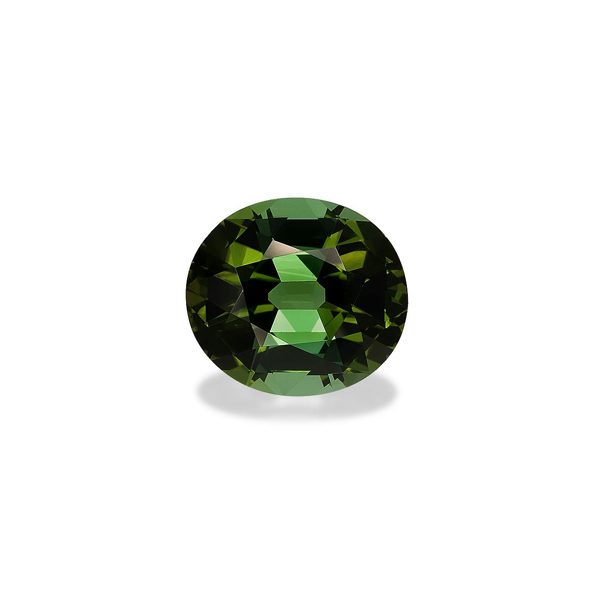 Green Tourmaline 18.49ct - 18x16mm (TG0318)