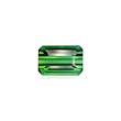 Vivid Green Tourmaline 13.01ct (TG0342)