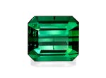 Picture of Green Tourmaline 8.04ct (TG0377)