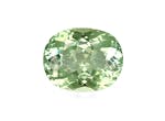 Picture of Pale Green Tourmaline 24.60ct (TG0392)