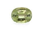 Picture of Pale Green Tourmaline 22.73ct (TG0393)