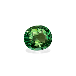 Green Tourmaline 30.33ct (TG0397)