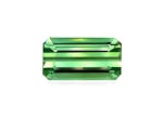 Picture of Green Tourmaline 16.83ct (TG0436)