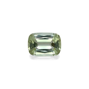fine quality gemstones - TG0454