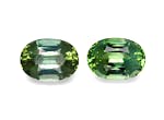 Picture of Cotton Green Tourmaline 33.63ct - Pair (TG0521)