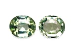 Picture of Green Tourmaline 16.97ct - 14x12mm Pair (TG0547)