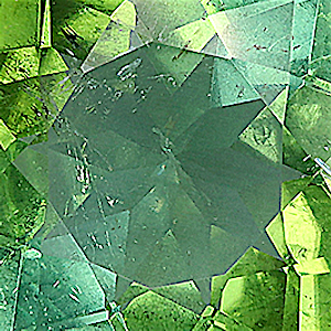 product close up Product closeup