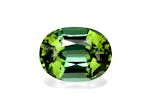 Picture of Basil Green Tourmaline 12.49ct (TG0644)