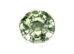 Picture of Pale Green Tourmaline 7.79ct (TG0704)