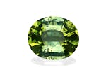 Picture of Lime Green Tourmaline 7.84ct - 14x12mm (TG0718)