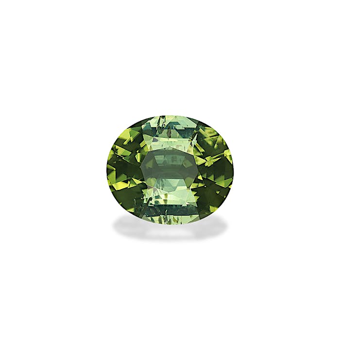Green Tourmaline 7.84ct - Main Image