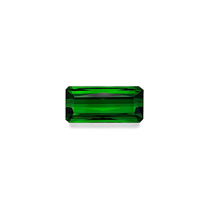 Vivid Green Tourmaline 111.19ct - Main Image
