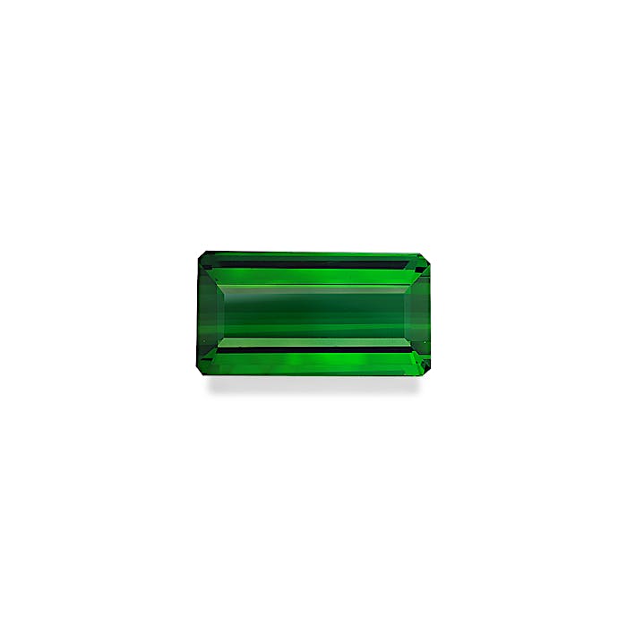 Vivid Green Tourmaline 98.92ct - Main Image