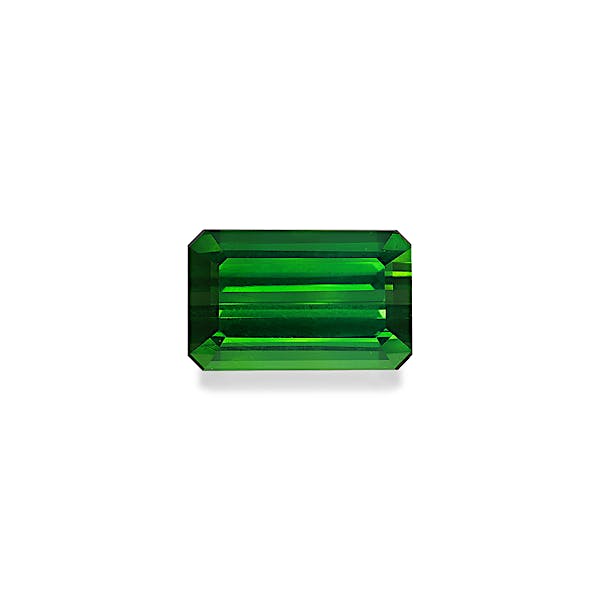 Green Tourmaline 23.17ct - Main Image