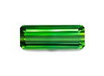 Picture of Vivid Green Tourmaline 15.90ct (TG0871)