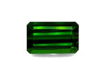Picture of Moss Green Tourmaline 19.43ct (TG0885)