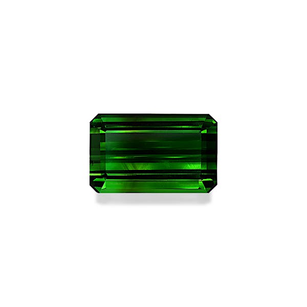 Green Tourmaline 42.61ct - Main Image