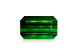 Picture of Vivid Green Tourmaline 93.30ct (TG0926)