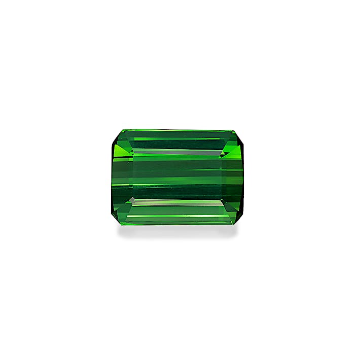 Green Tourmaline 13.09ct - Main Image