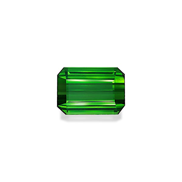 Green Tourmaline 22.59ct - Main Image