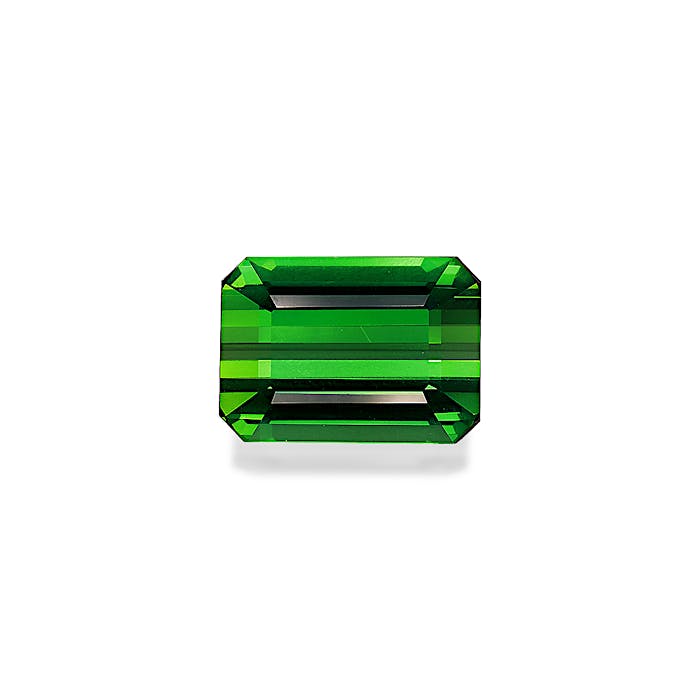 Vivid Green Tourmaline 8.53ct - Main Image