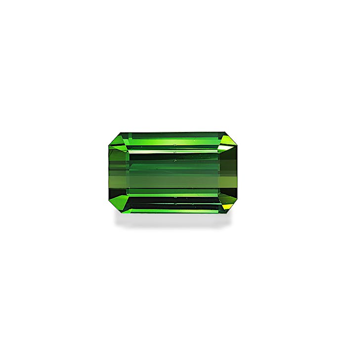 Vivid Green Tourmaline 8.41ct - Main Image