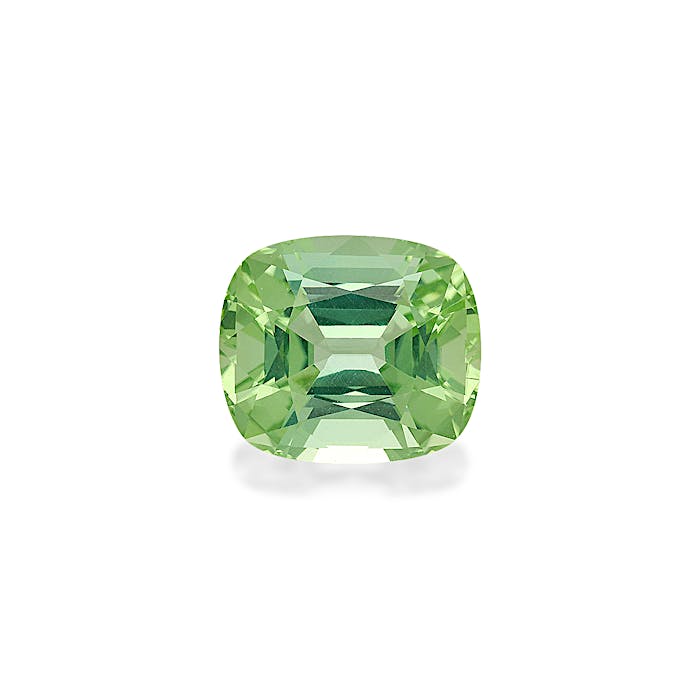 Green Tourmaline 9.85ct - Main Image