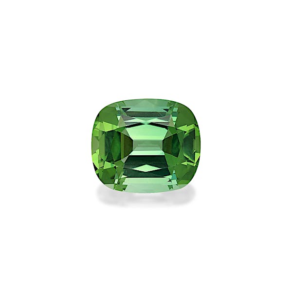 Green Tourmaline 16.74ct - Main Image