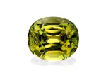Picture of Forest Green Tourmaline 6.18ct (TG1281)