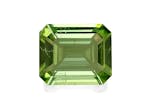 Picture of Green Tourmaline 7.07ct - 13x11mm (TG1309)