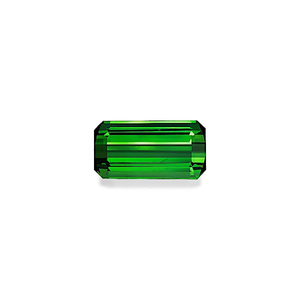 Green Tourmaline 30.96ct - Main Image