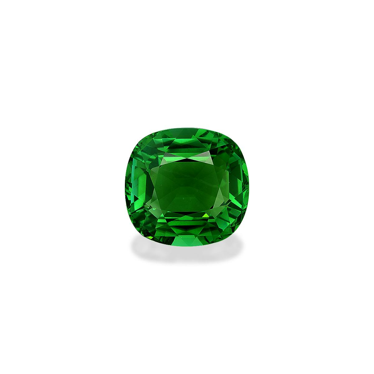 Green Tourmaline 44.21ct (TG1349)