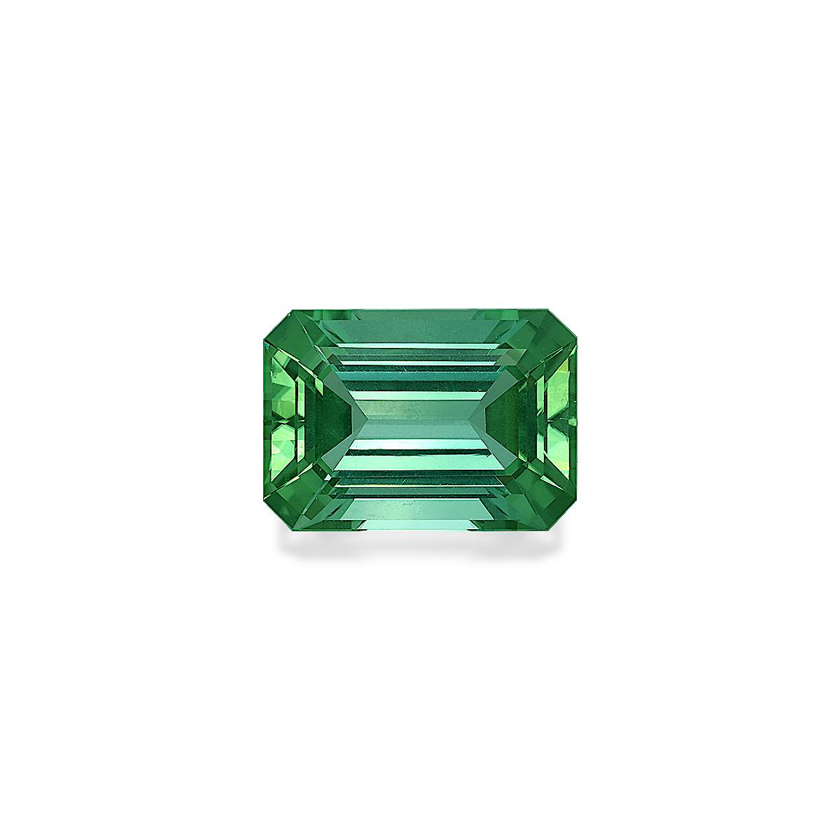 Green Tourmaline 16.82ct - Main Image