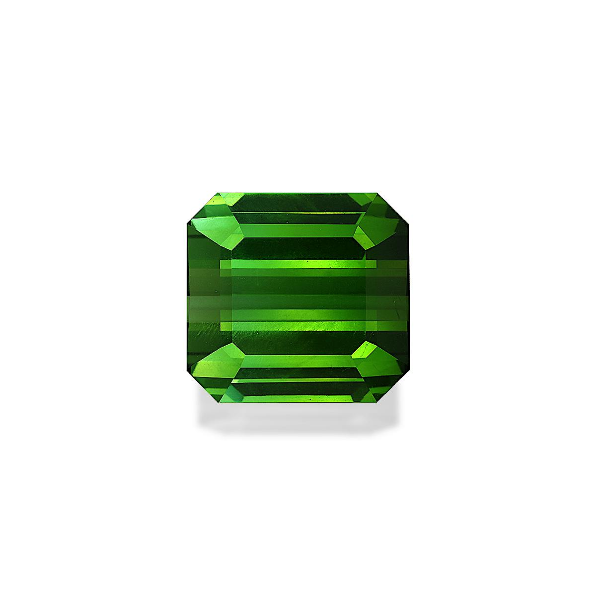 Green Tourmaline 19.57ct - Main Image