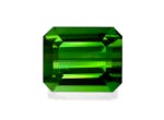 Picture of Forest Green Tourmaline 6.33ct - 11x9mm (TG1492)