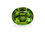 Picture of Forest Green Tourmaline 4.87ct - 12x10mm (TG1493)