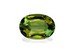 Picture of Lime Green Tourmaline 6.09ct (TG1572)