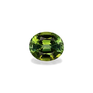 fine quality gemstones - TG1578