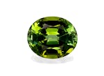 Picture of Lime Green Tourmaline 3.35ct - 10x8mm (TG1578)