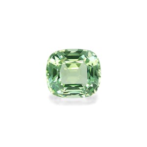 fine quality gemstones - TG1604