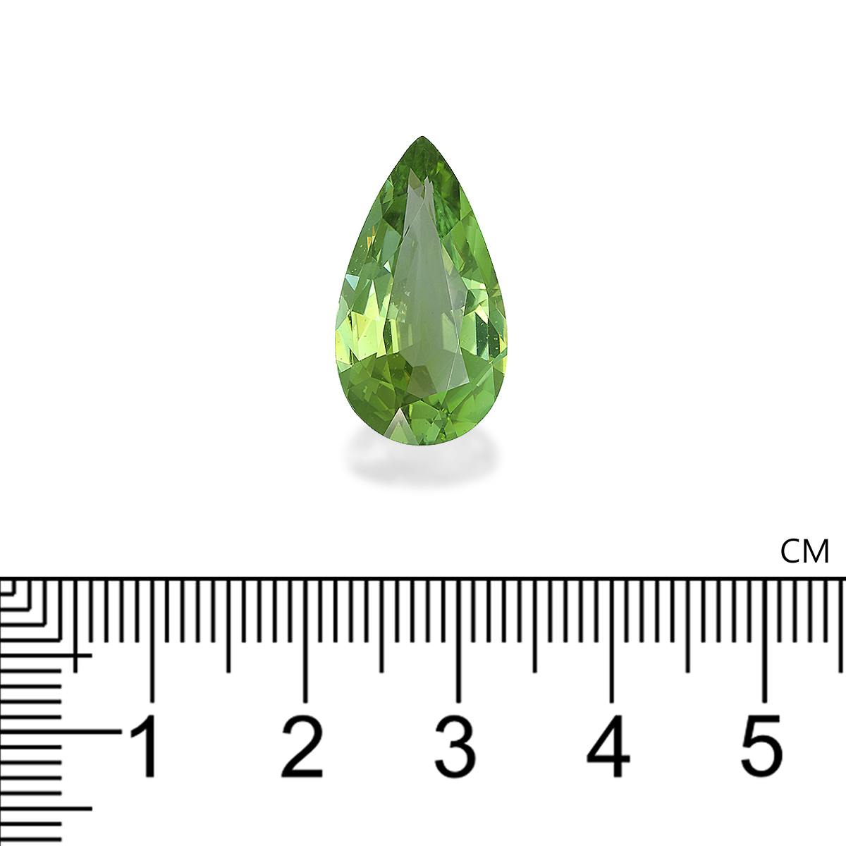 Green Tourmaline 10.07ct (TG1610)