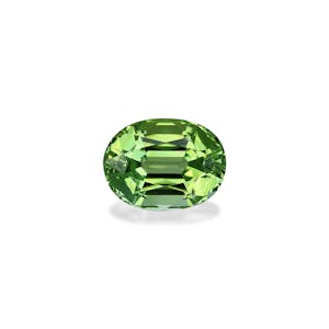 fine quality gemstones - TG1612
